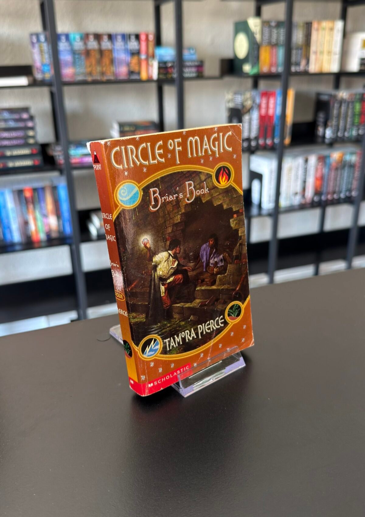 Briar's Book (Circle of Magic #04)