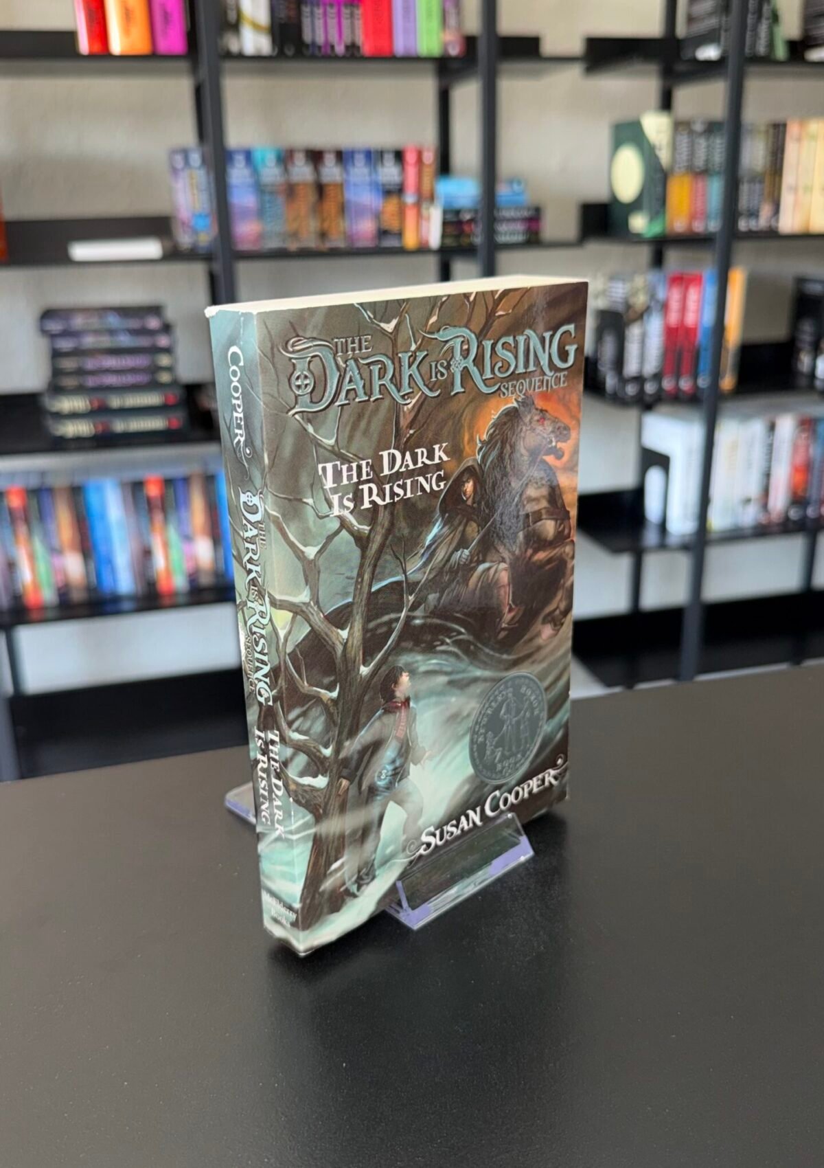 The Dark Is Rising (Dark Is Rising #2)