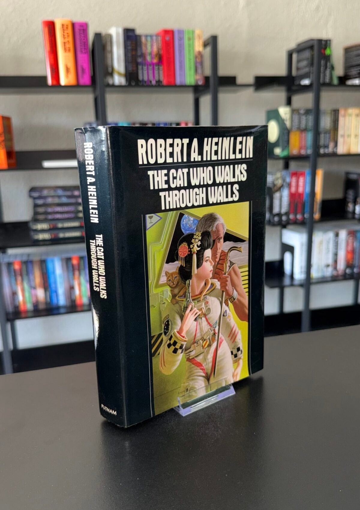 The Cat Who Walks Through Walls (The World As Myth #3)