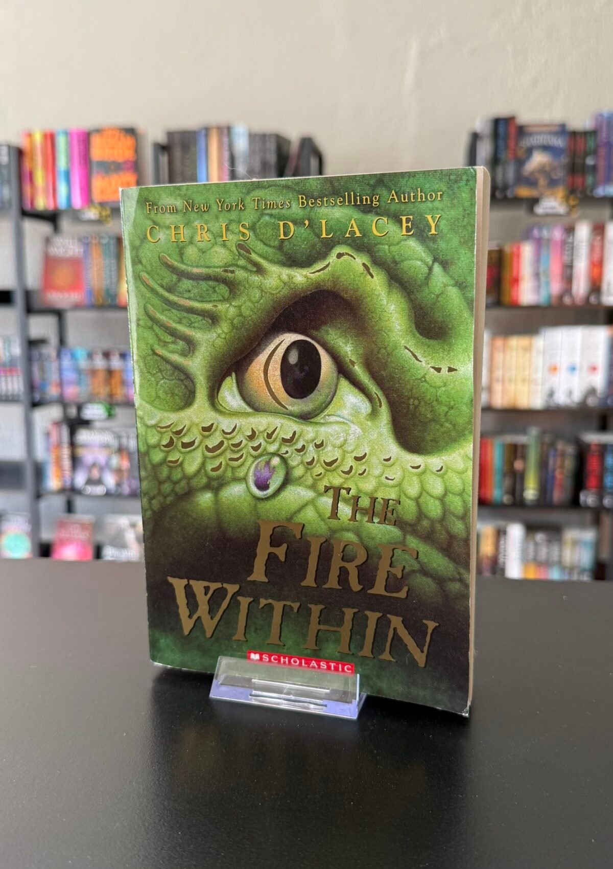 The Fire Within (The Last Dragon Chronicles #1)
