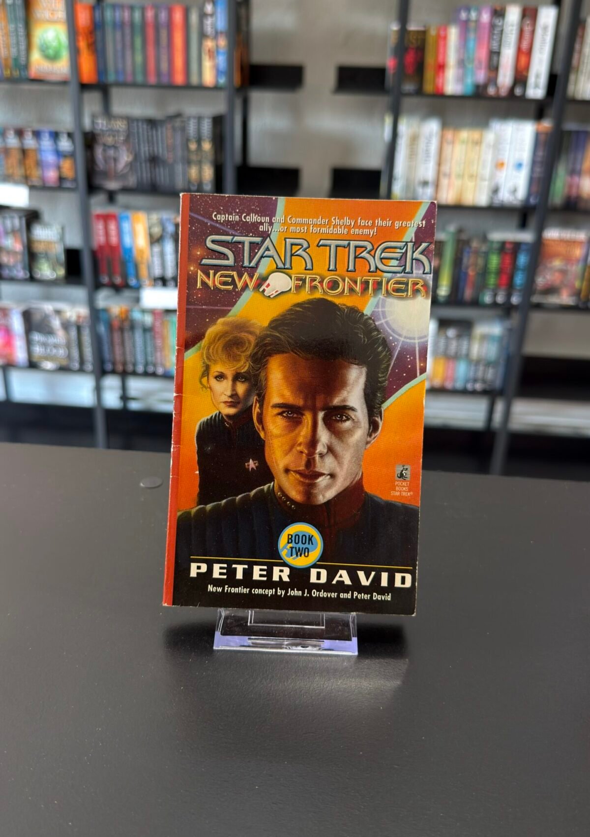 Into the Void (Star Trek: New Frontier #2)