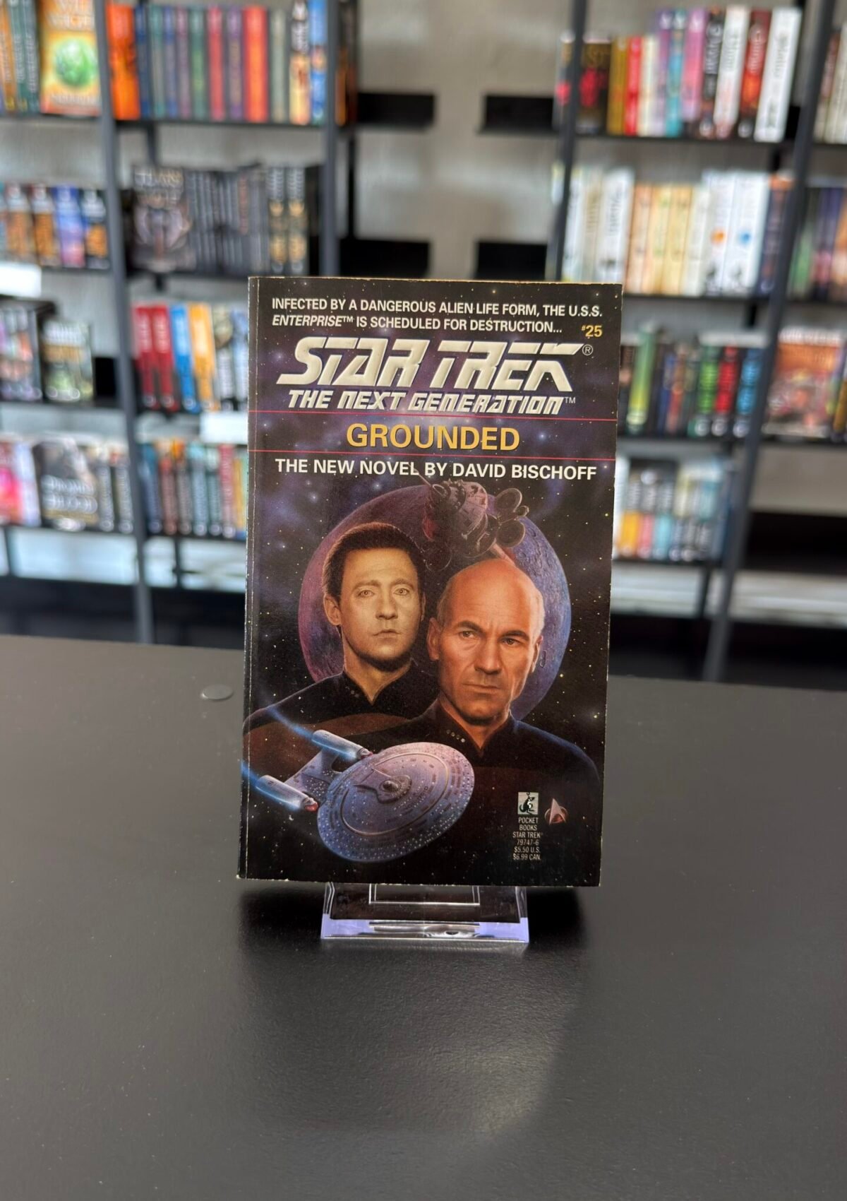 Grounded (Star Trek Next Generation #25)