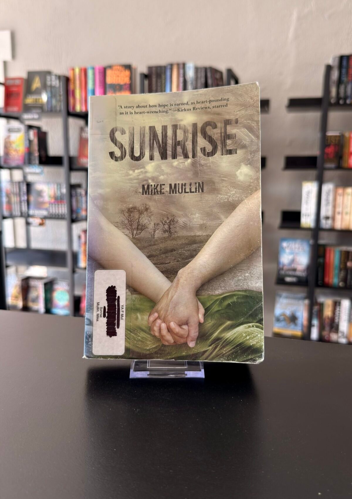 Sunrise (Ashfall #3)