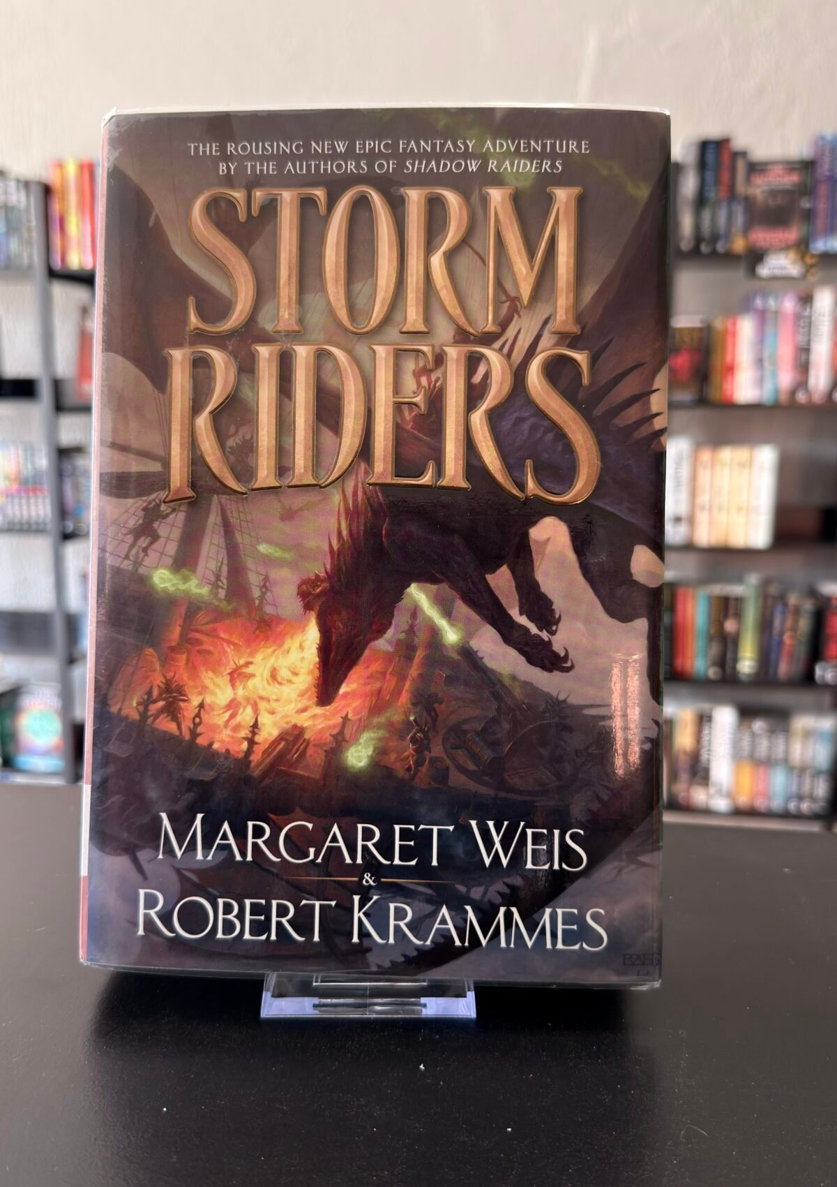 Storm Riders (Dragon Brigade #2)