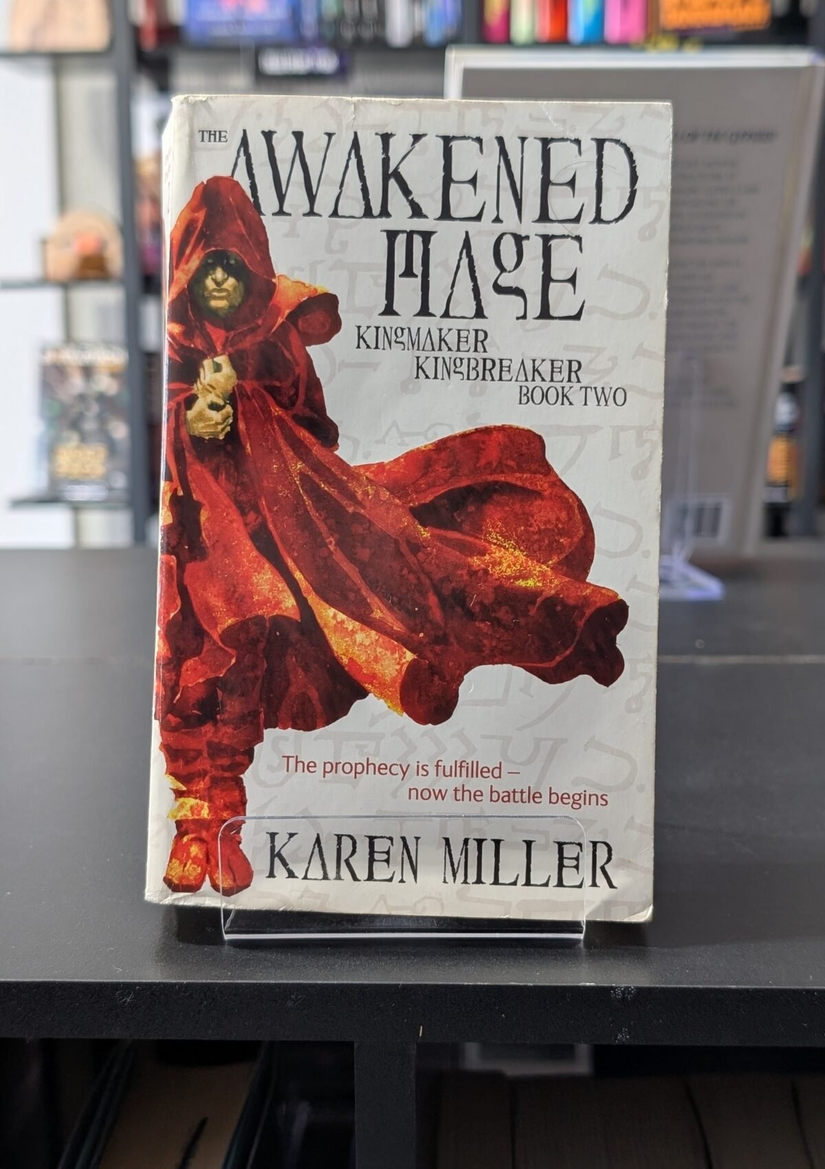 The Awakened Mage (Kingmaker, Kingbreaker #2)