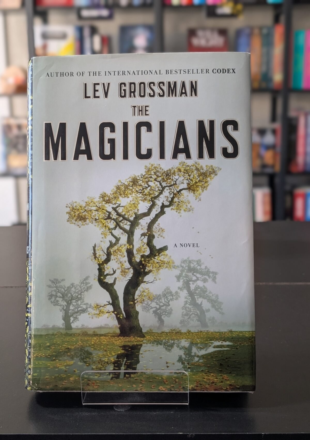 The Magicians (The Magicians #1)