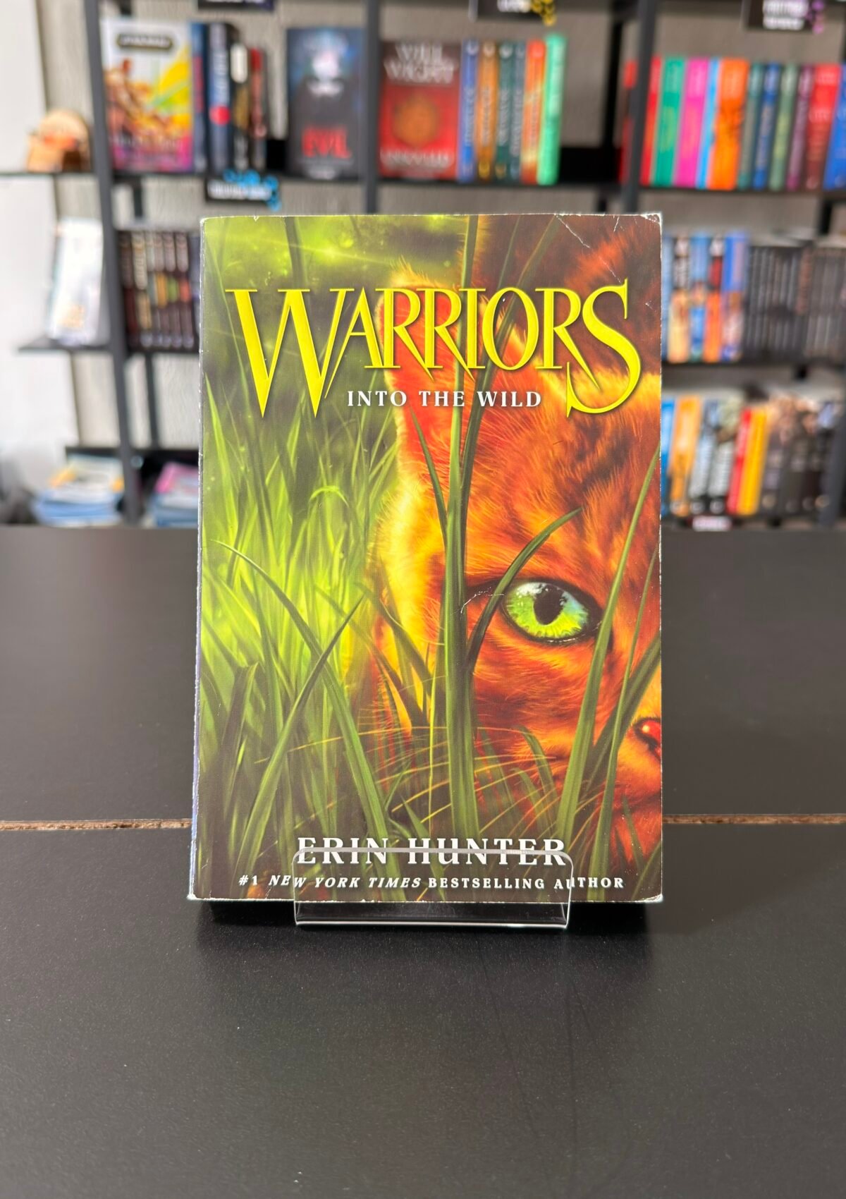 Warriors: Into the Wild (Book #1 Warriors Series)