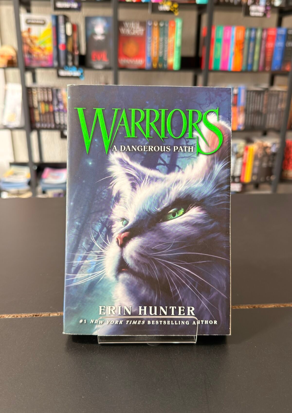 Warriors: A Dangerous Path (Book #5 Warriors Series)