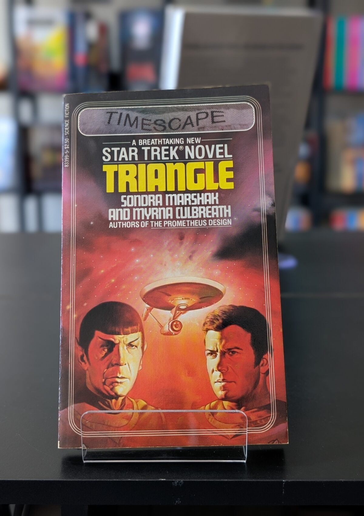 Triangle (Star Trek #9)