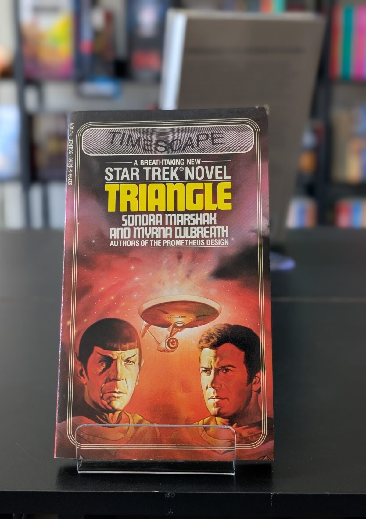 Triangle (Star Trek #9)