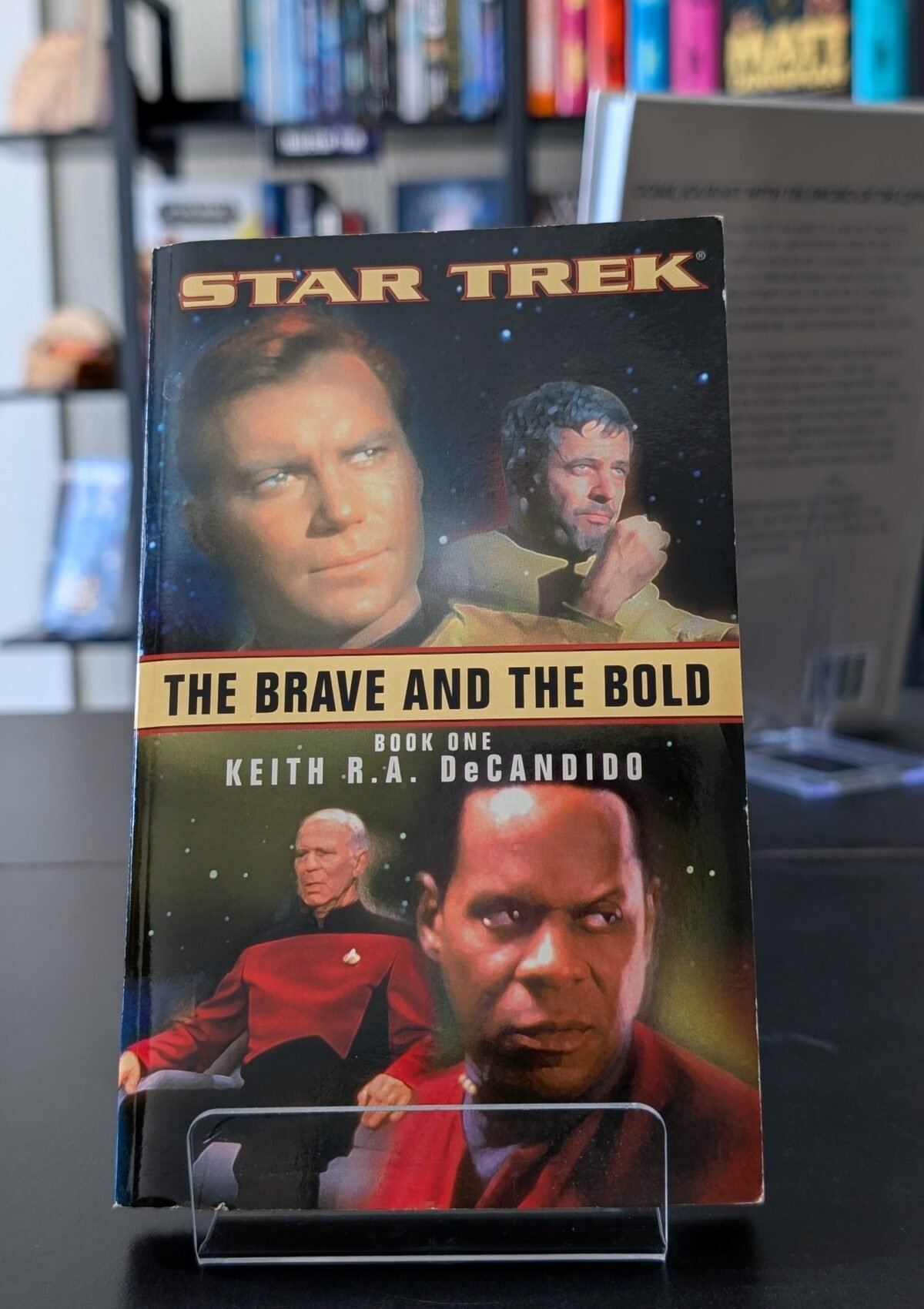 The Brave and the Bold (Star Trek  #1)