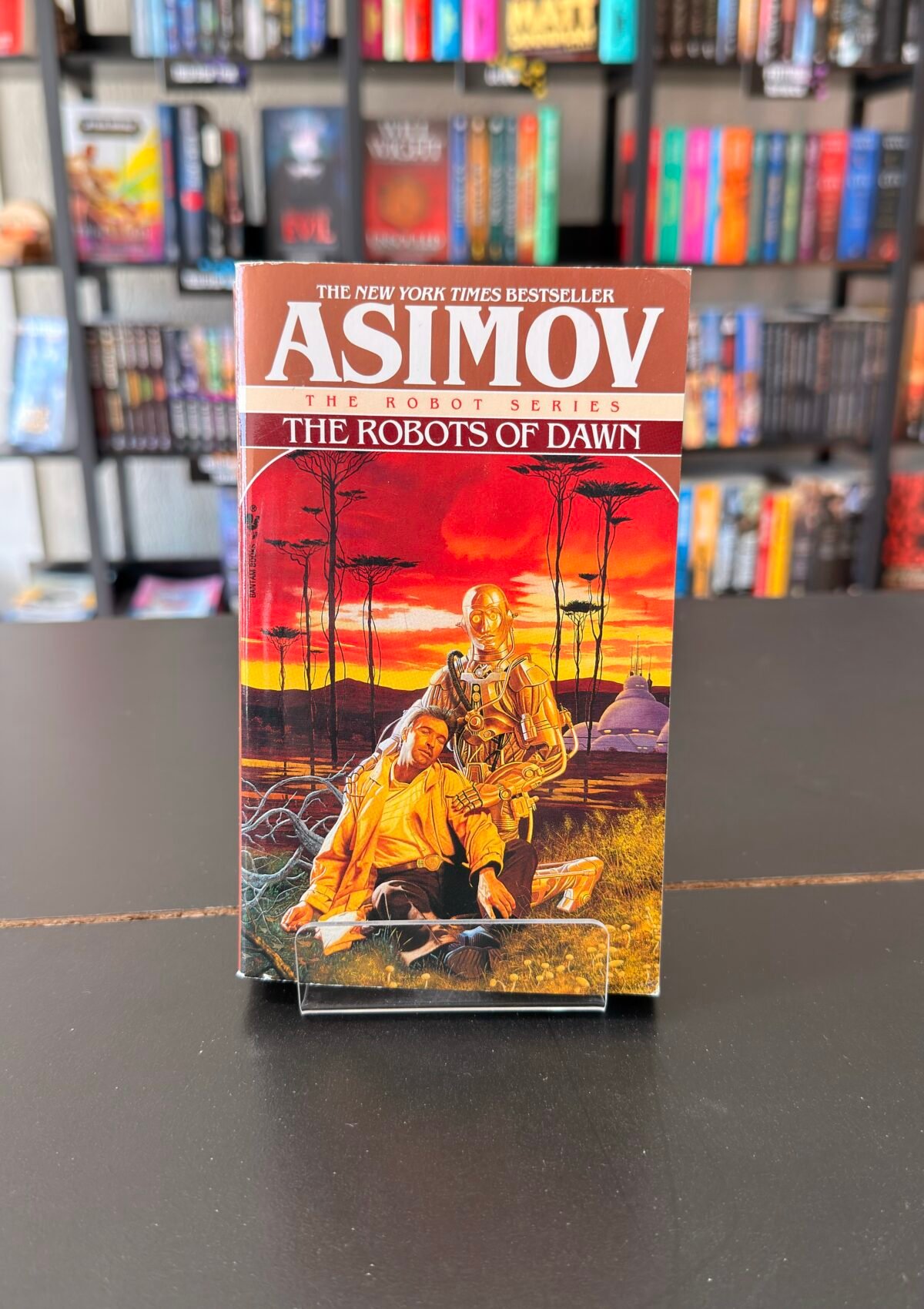 The Robots of Dawn (Book #4 The Robot Series)