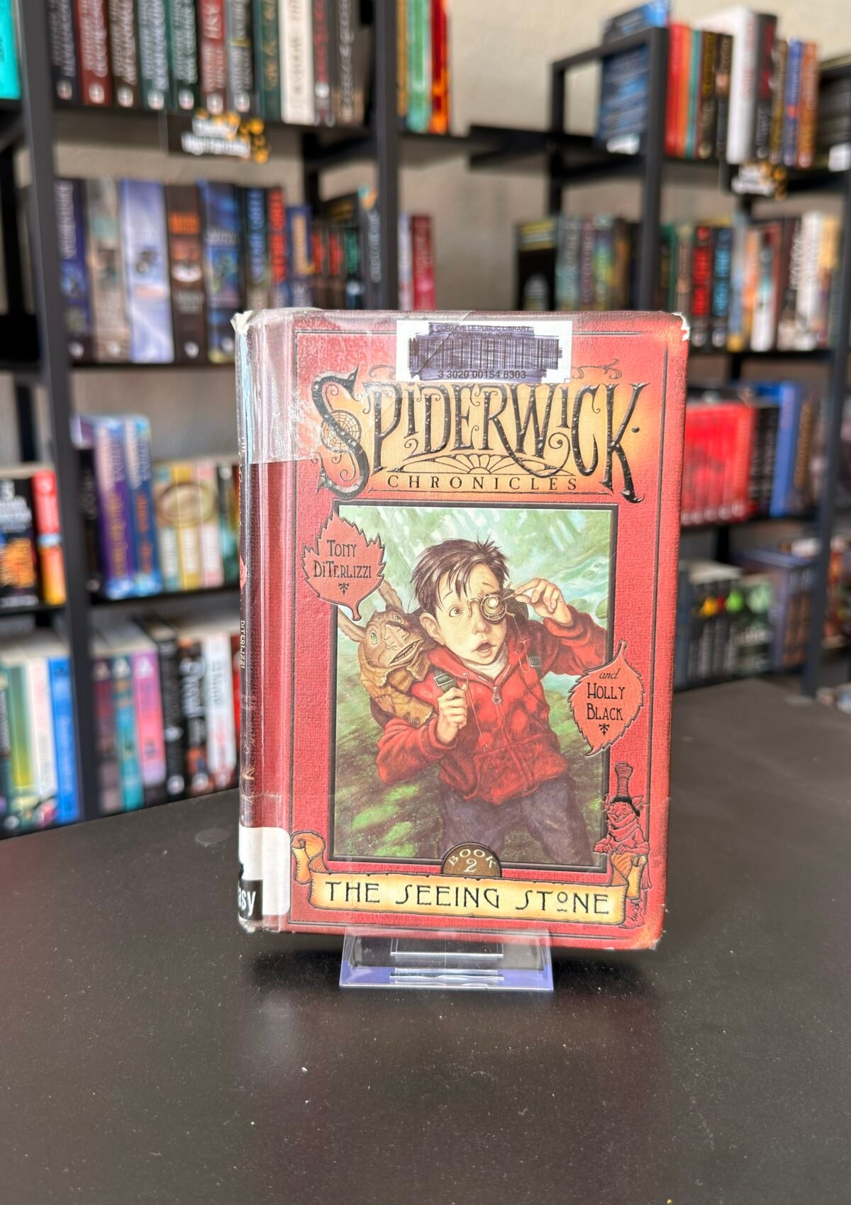 The Seeing Stone (Book #2 in the Spiderwick Chronicles Series)