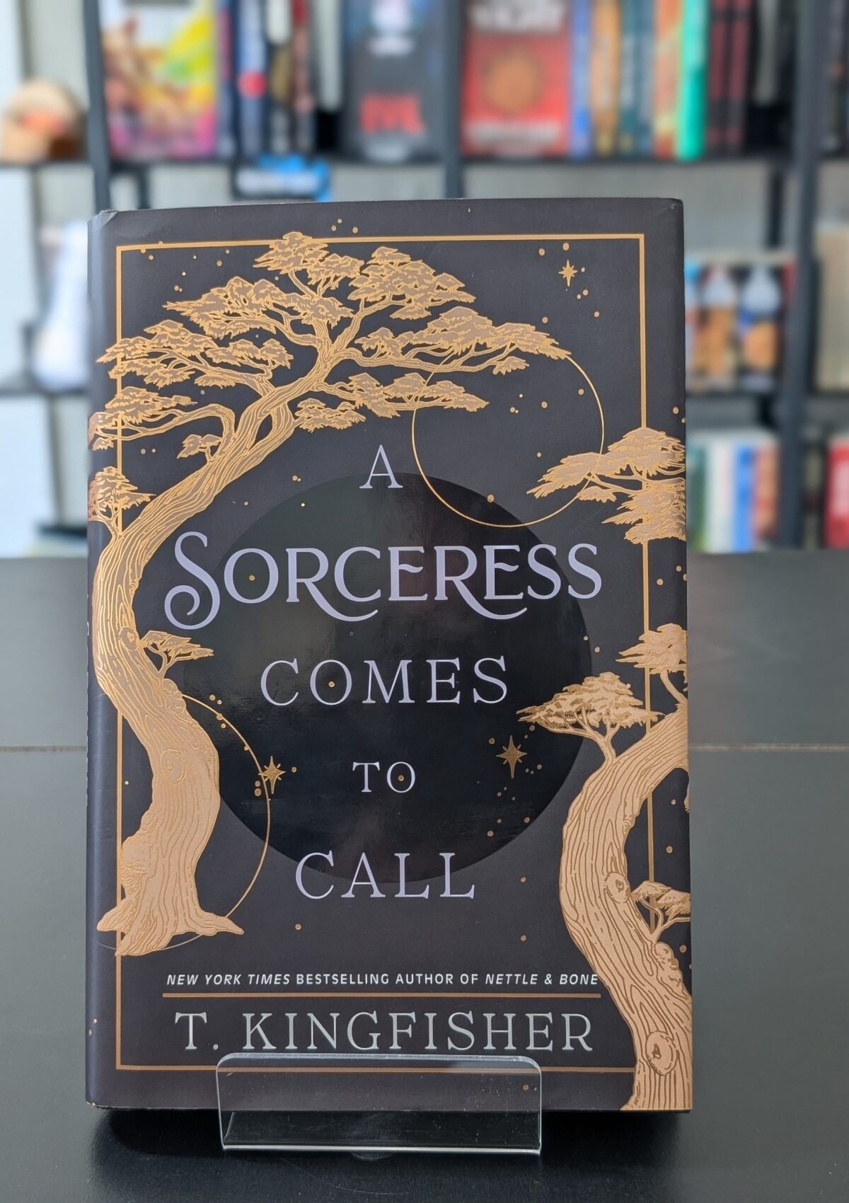 A Sorceress Comes to Call