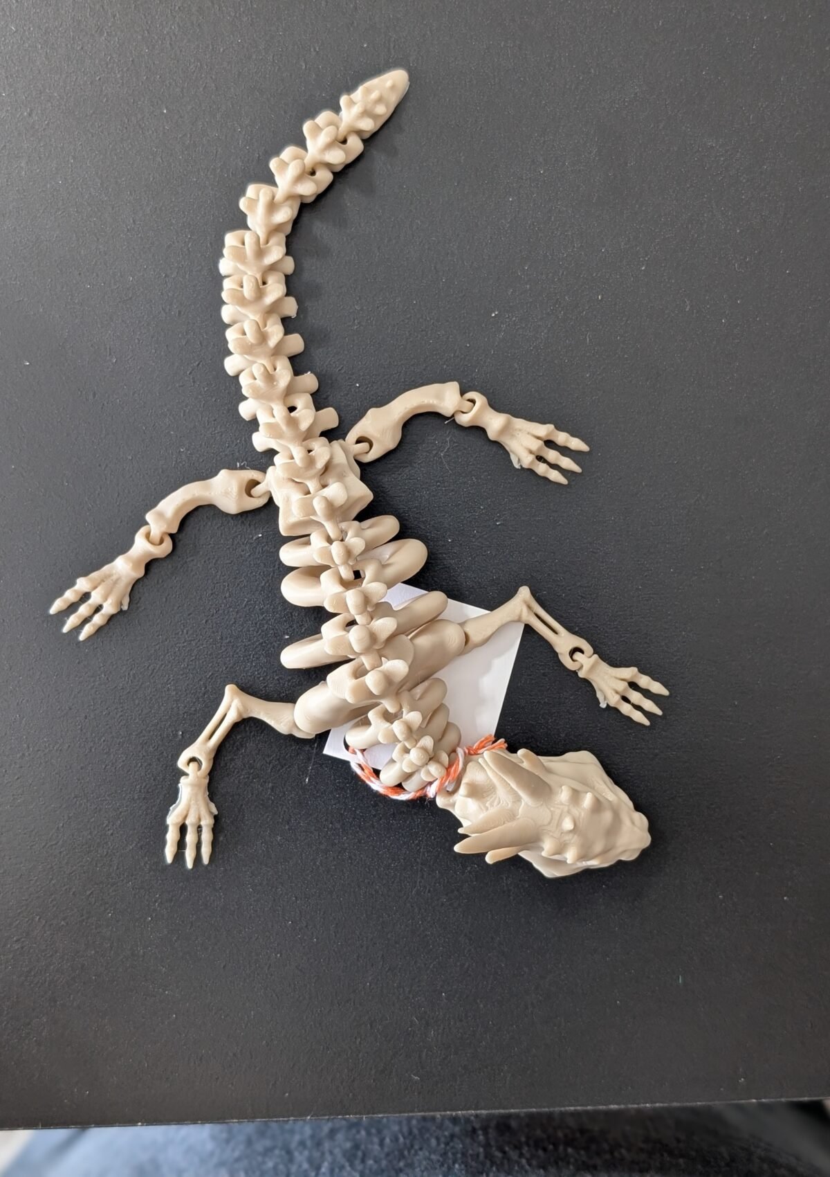 Bone Dragon 9 inches
