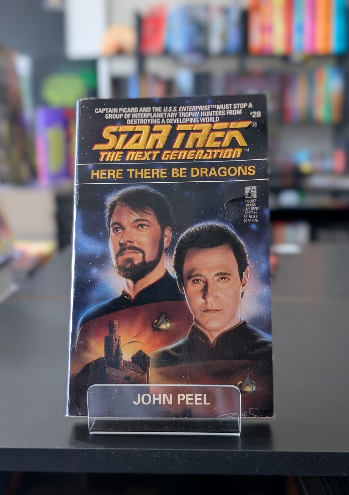 Here There Be Dragons (Star Trek Next Generation #28)