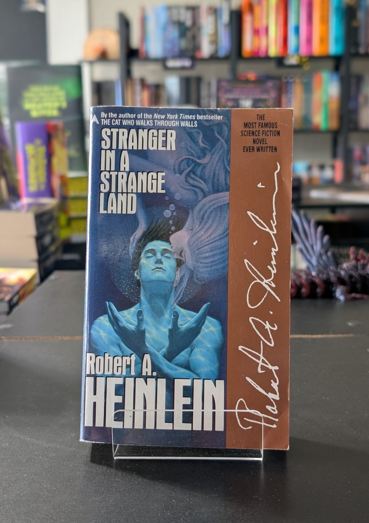 Stranger in a Strange Land (Remembering Tomorrow)