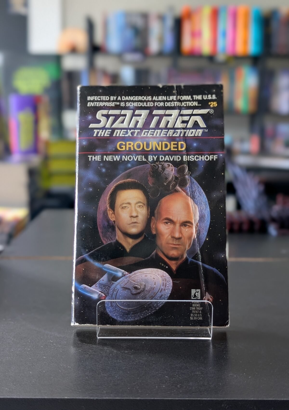 Grounded (Star Trek Next Generation #25)