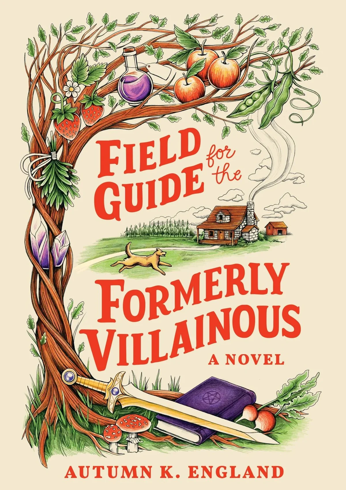 Field Guide for the Formerly Villainous (Deluxe Edition) (Everyday Magic #1)