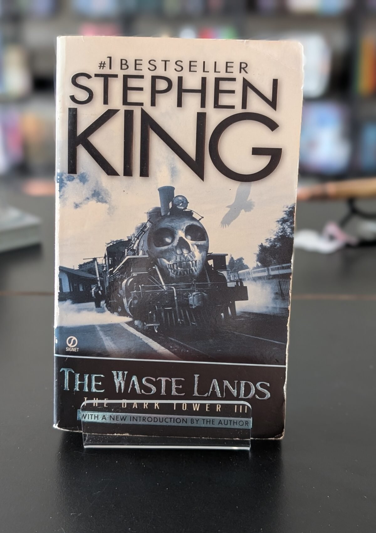 Waste Lands (Dark Tower #3)