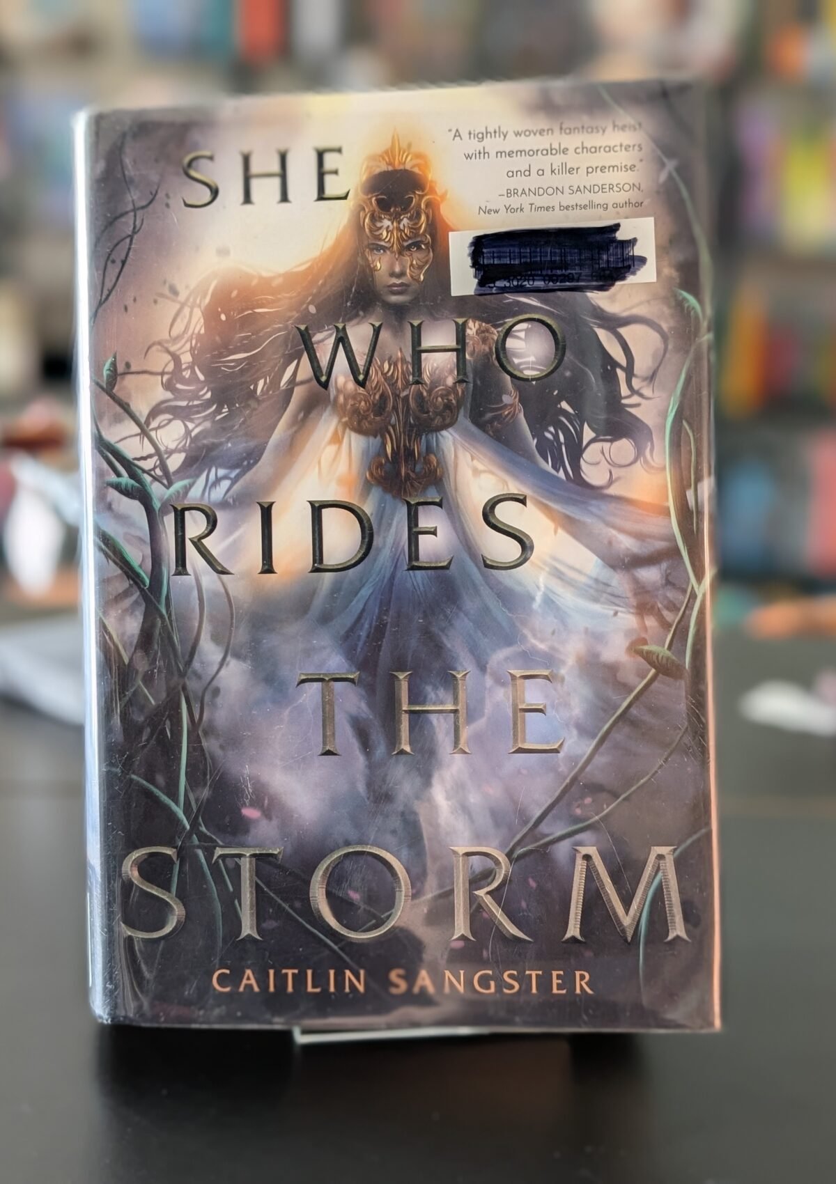 She Who Rides the Storm (Gods-Touched Duology #1)