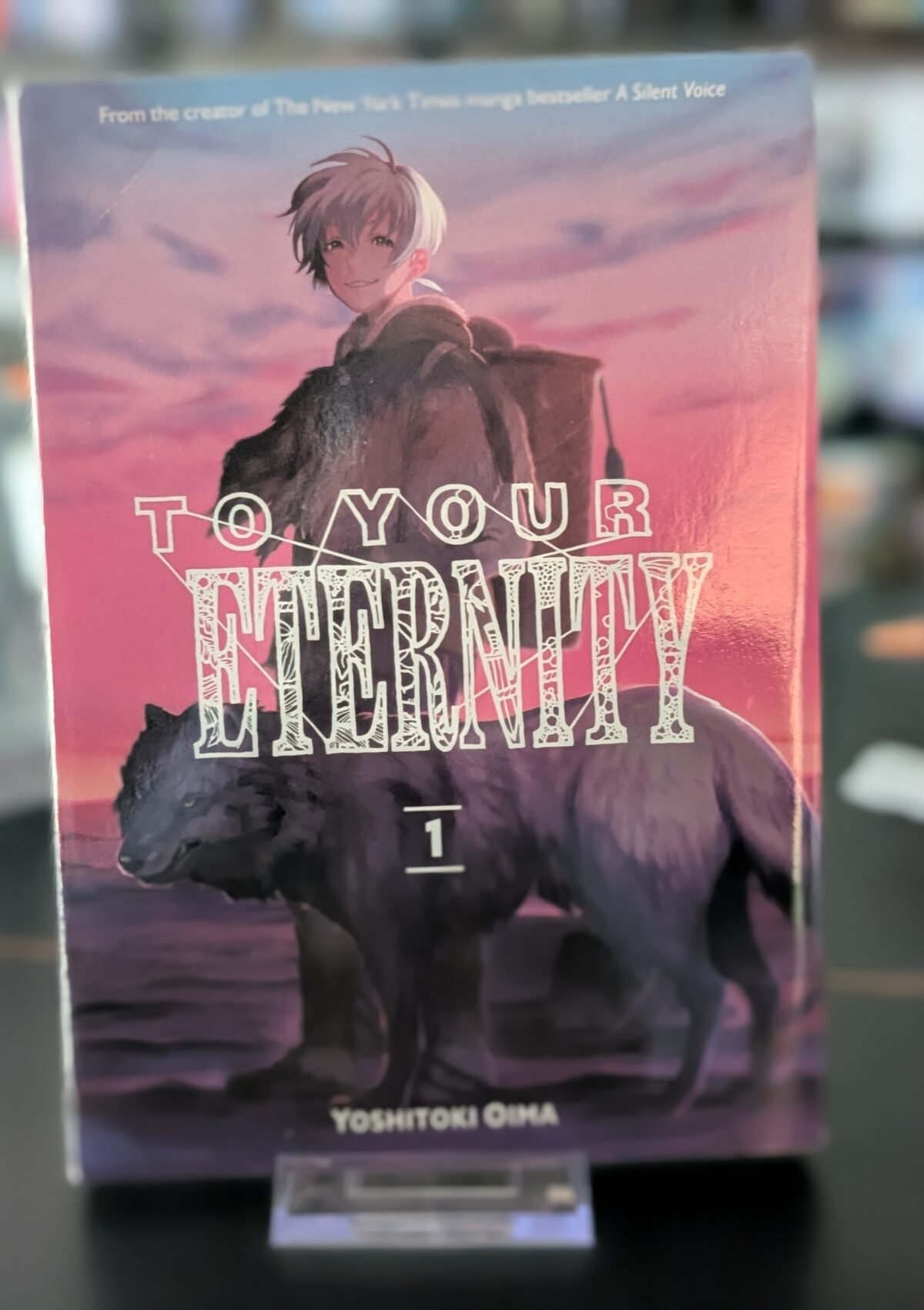 To Your Eternity #1