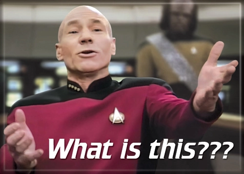 Star Trek Picard What Is This? Magnet 2.5" x 3.5"
