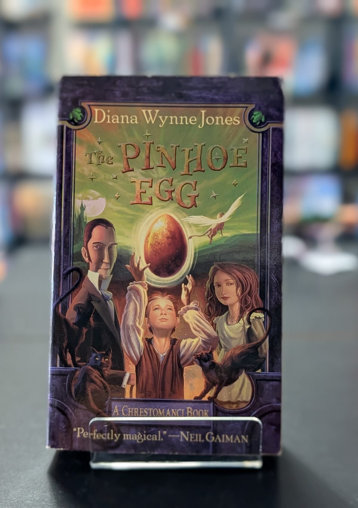 The Pinhoe Egg (Chronicles of Chrestomanci #6)