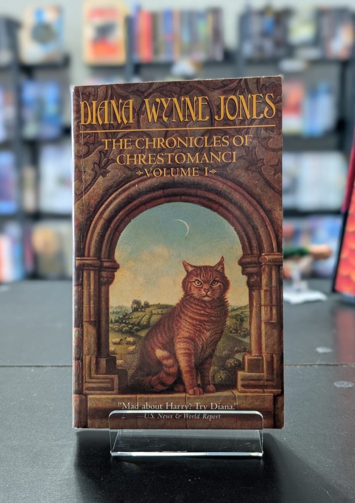 The Chronicles of Chrestomanci, Volume 1: Charmed Life/The Lives of Christopher Chant (Chronicles of Chrestomanci #1)