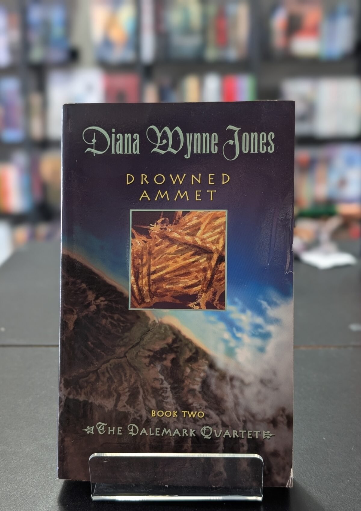 Drowned Ammet (Dalemark Quartet #2)
