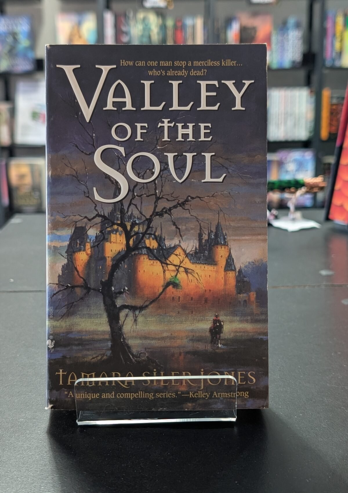 Valley of the Soul (Dubric Bryerly #3)