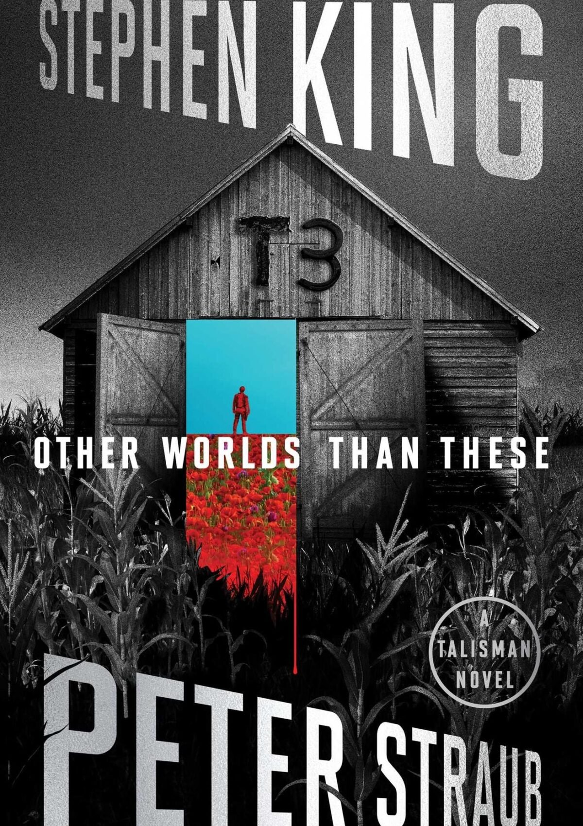 Other Worlds Than These: A Talisman Novel (Talisman Trilogy #3)