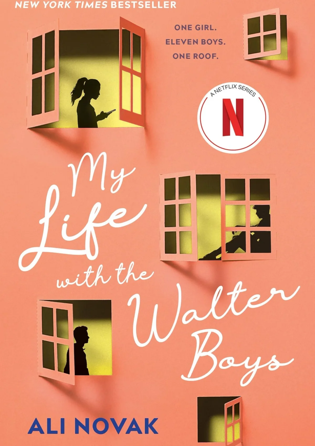 My Life with the Walter Boys
